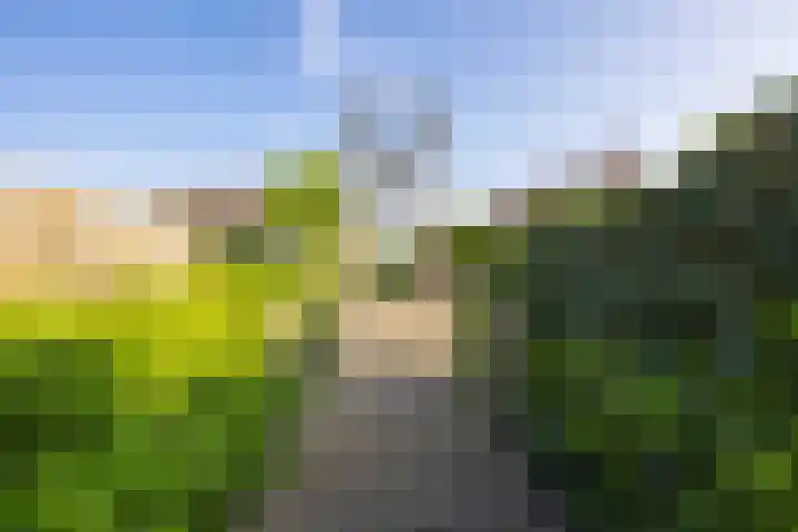 Echteldse Singel 33 Lienden thumbnail 69