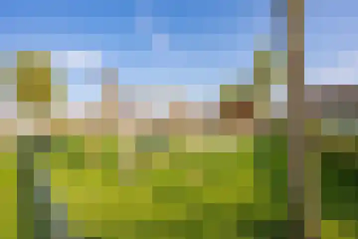 Echteldse Singel 33 Lienden thumbnail 72