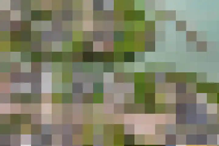 Echteldse Singel 33 Lienden thumbnail 74