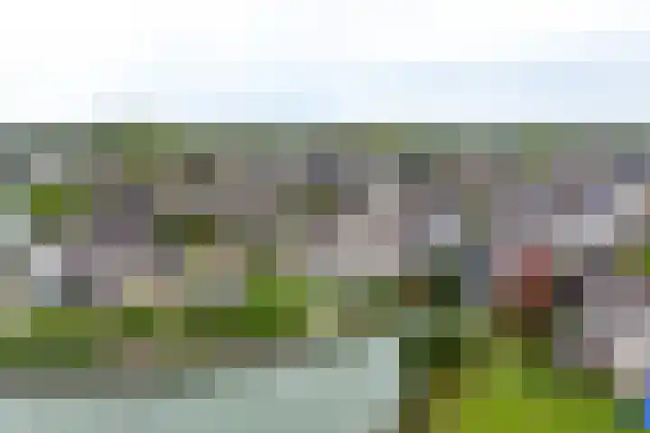 Echteldse Singel 33 Lienden thumbnail 75