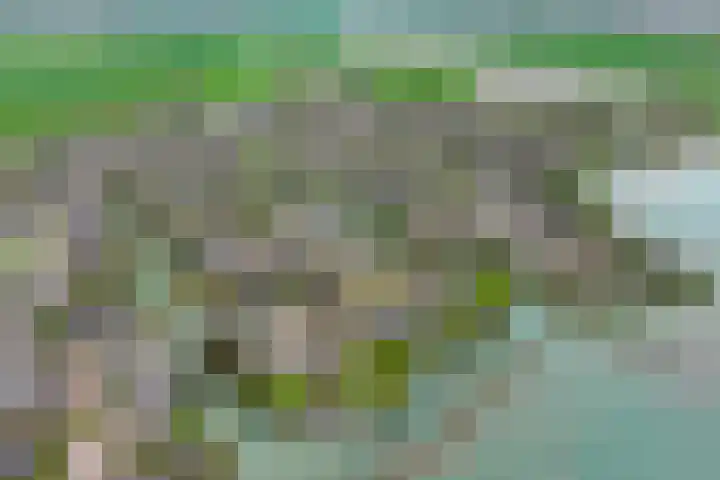 Echteldse Singel 33 Lienden thumbnail 76
