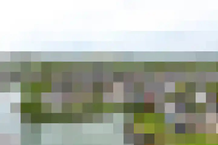 Echteldse Singel 33 Lienden thumbnail 77