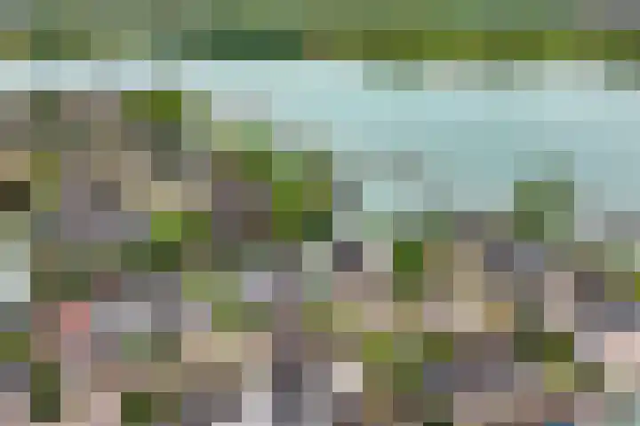 Echteldse Singel 33 Lienden thumbnail 78