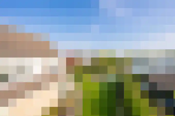 Echteldse Singel 33 Lienden thumbnail 79
