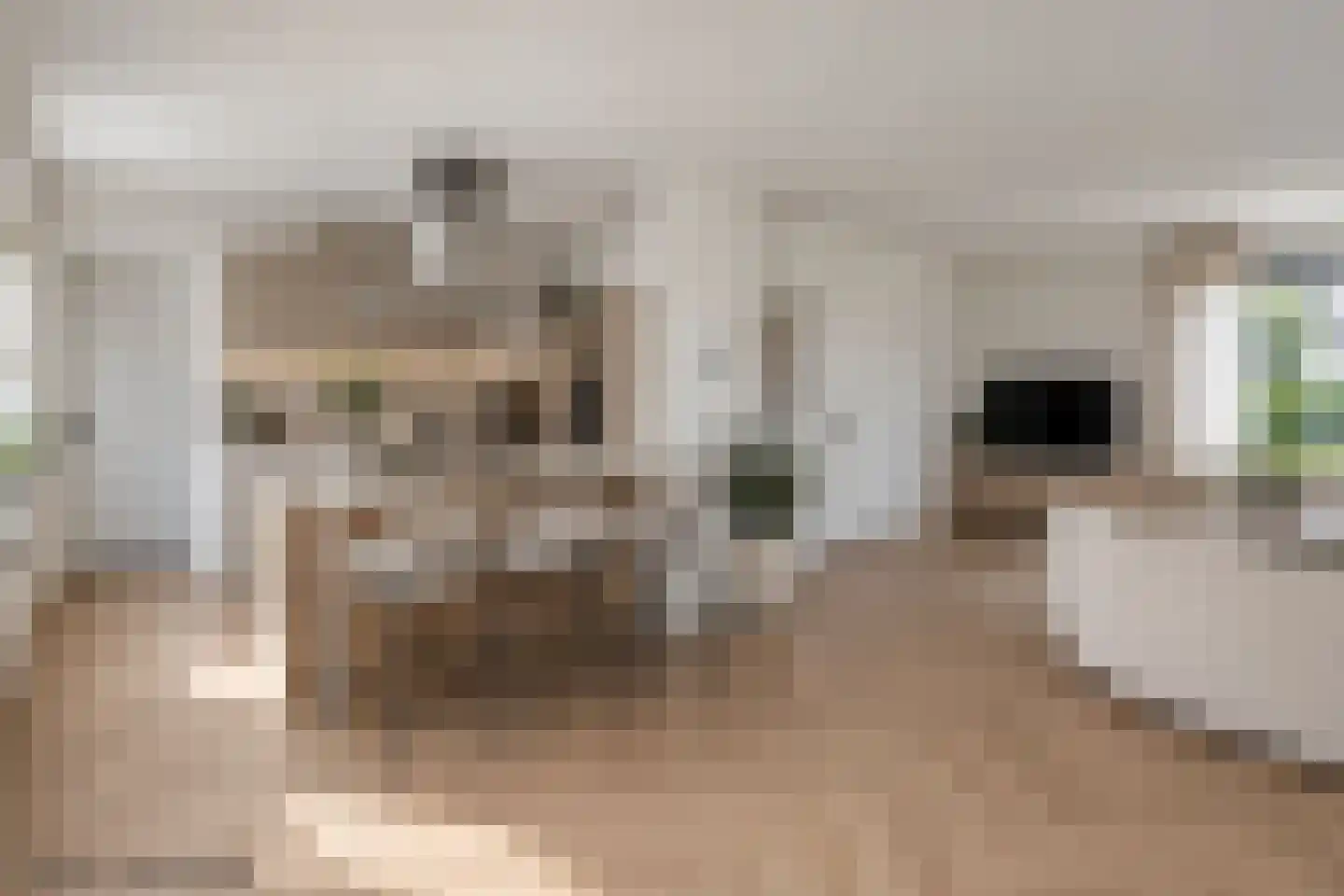 Echteldse Singel 4 Lienden thumbnail 11