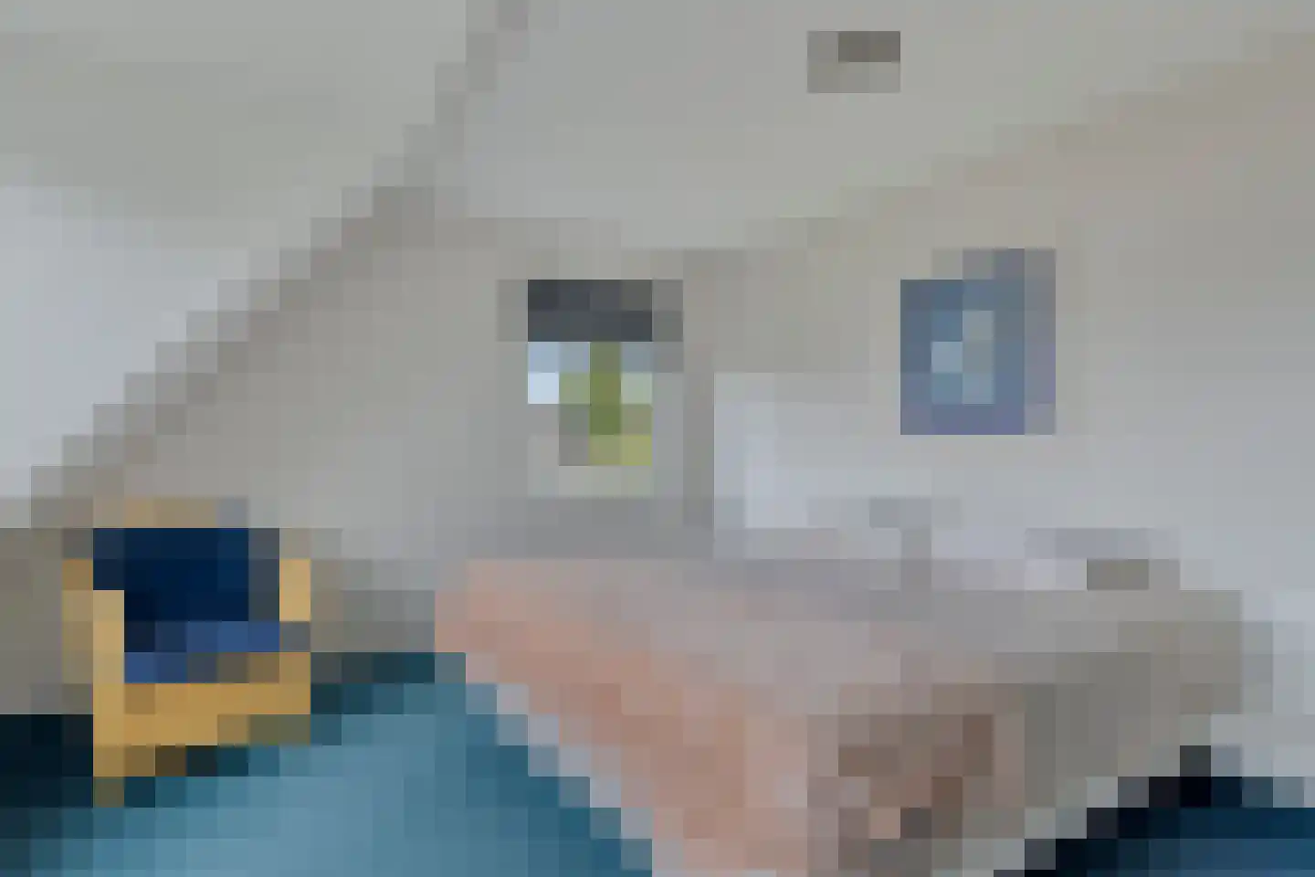 Echteldse Singel 4 Lienden thumbnail 15