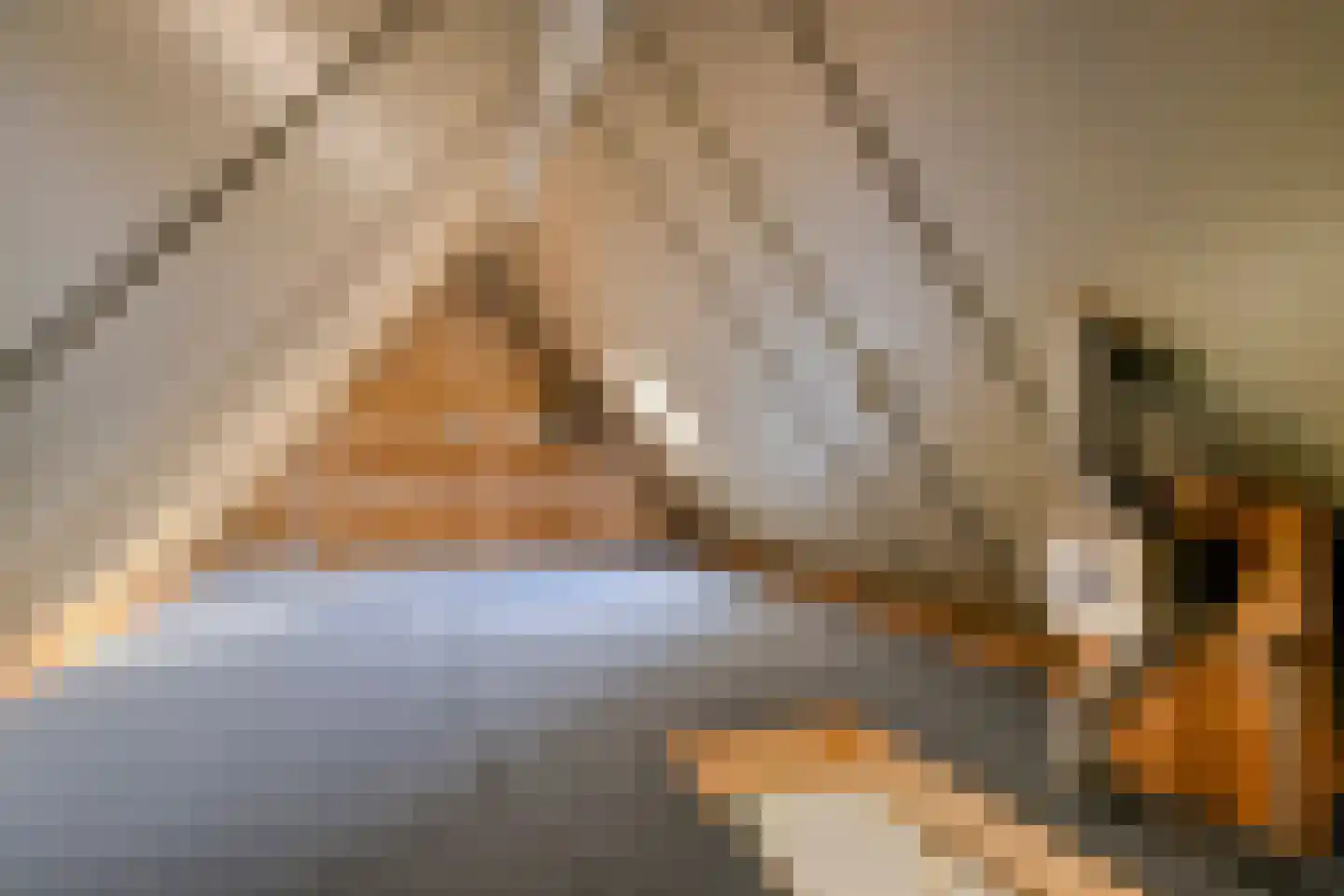 Echteldse Singel 4 Lienden thumbnail 24
