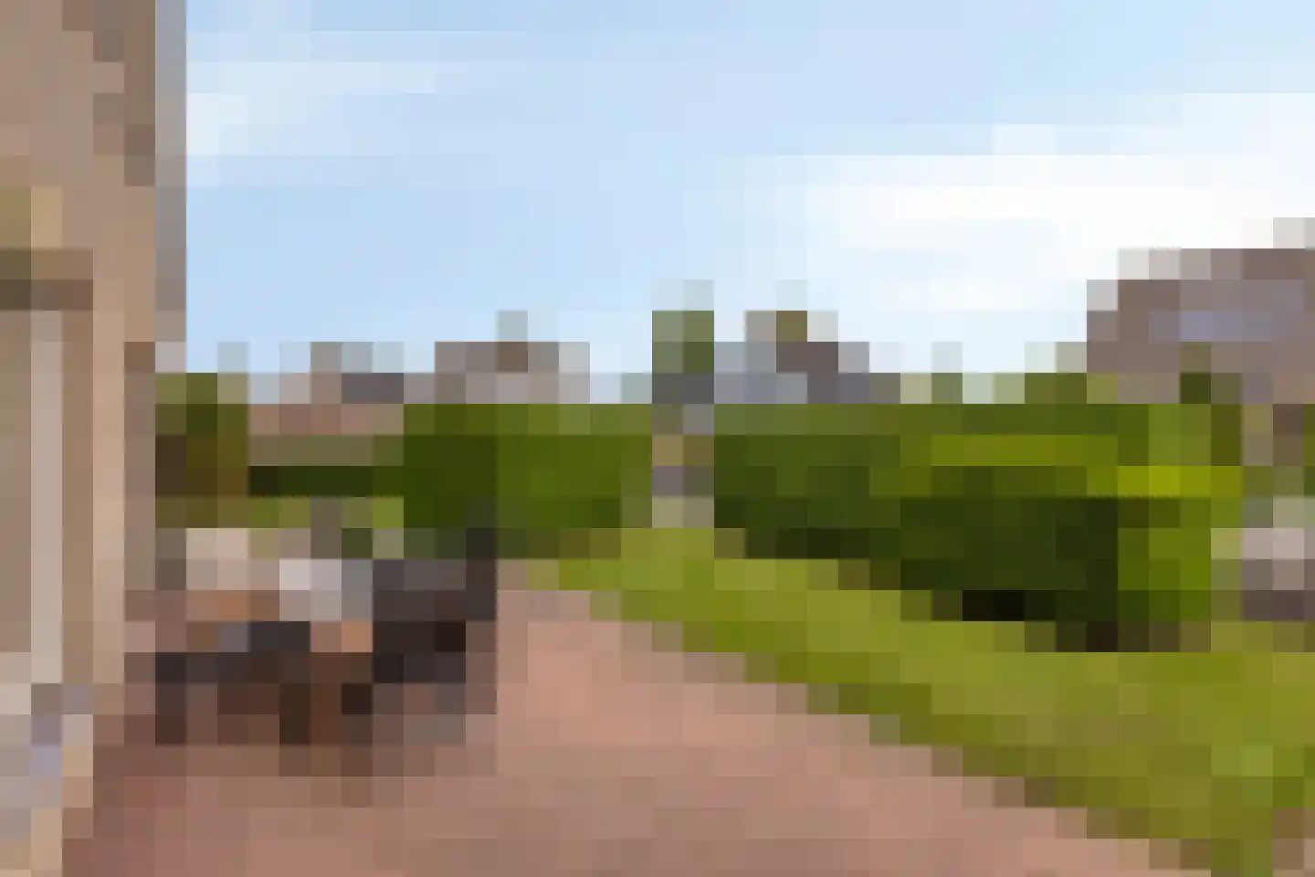 Echteldse Singel 4 Lienden thumbnail 25