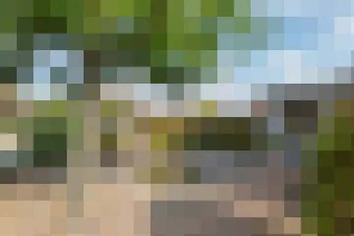 Echteldse Singel 40 Lienden thumbnail 10
