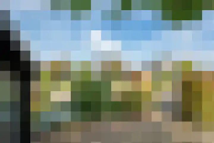 Echteldse Singel 40 Lienden thumbnail 11
