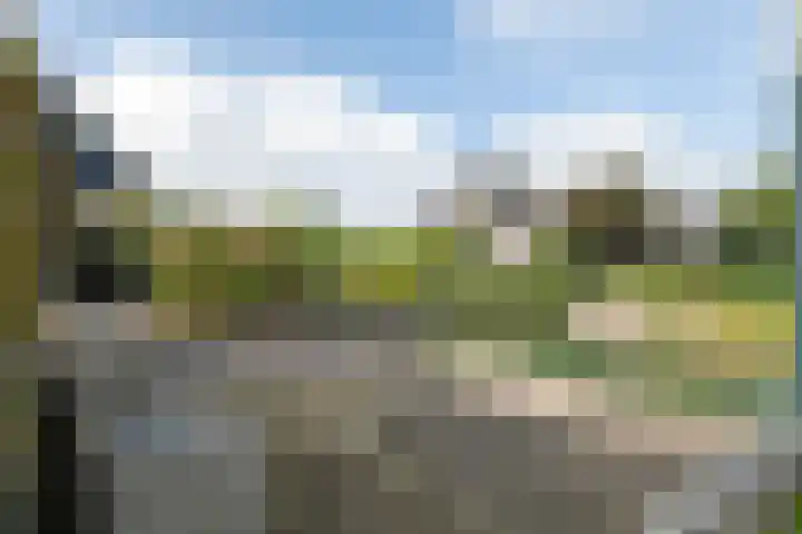 Echteldse Singel 40 Lienden thumbnail 13