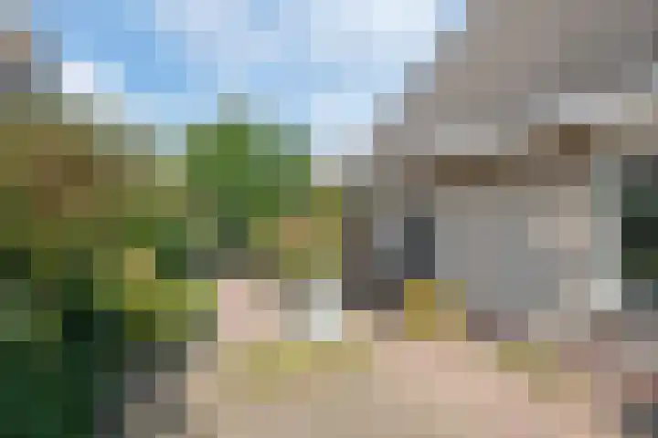 Echteldse Singel 40 Lienden thumbnail 14
