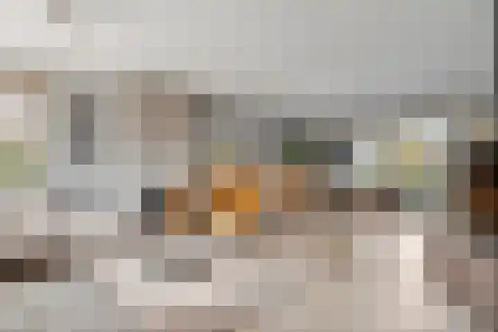 Echteldse Singel 40 Lienden thumbnail 18