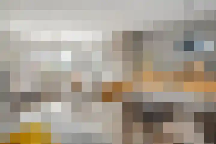 Echteldse Singel 40 Lienden thumbnail 25