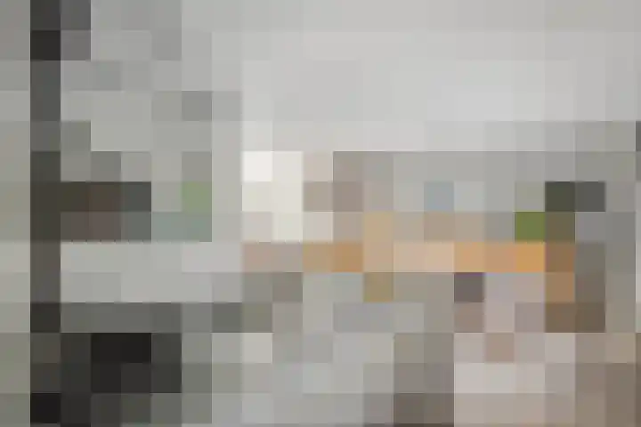 Echteldse Singel 40 Lienden thumbnail 26