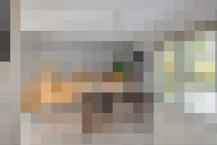 Echteldse Singel 40 Lienden thumbnail 29
