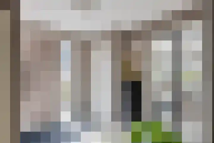Echteldse Singel 40 Lienden thumbnail 31