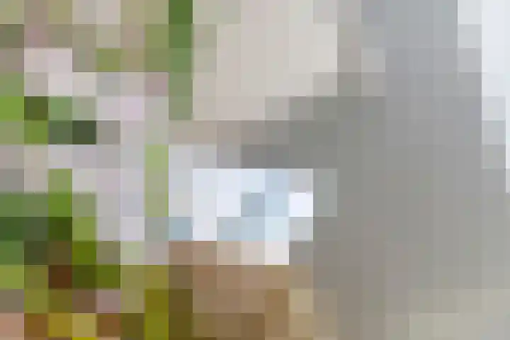 Echteldse Singel 40 Lienden thumbnail 33