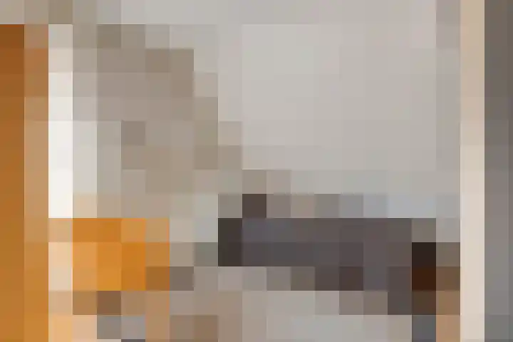 Echteldse Singel 40 Lienden thumbnail 37