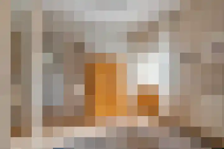 Echteldse Singel 40 Lienden thumbnail 38
