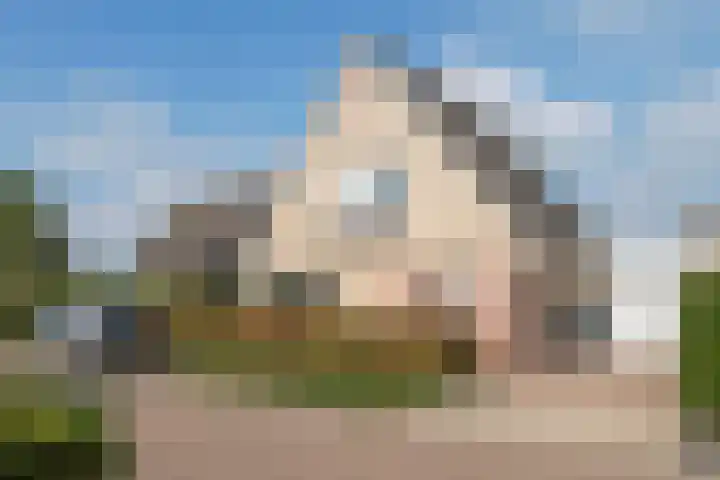 Echteldse Singel 40 Lienden thumbnail 4