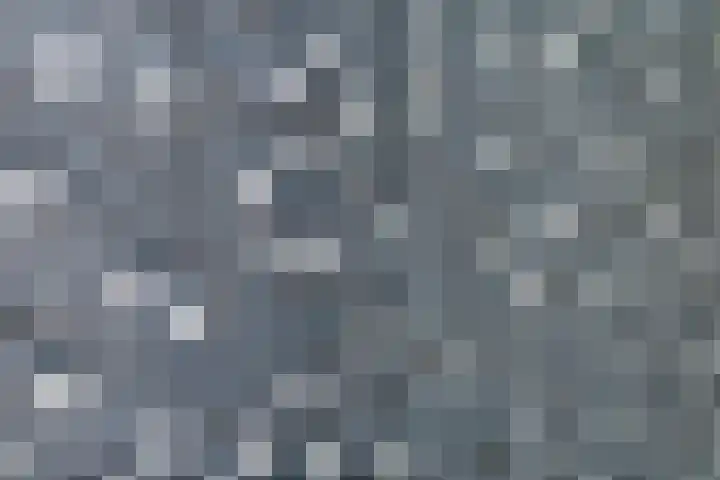 Echteldse Singel 40 Lienden thumbnail 41