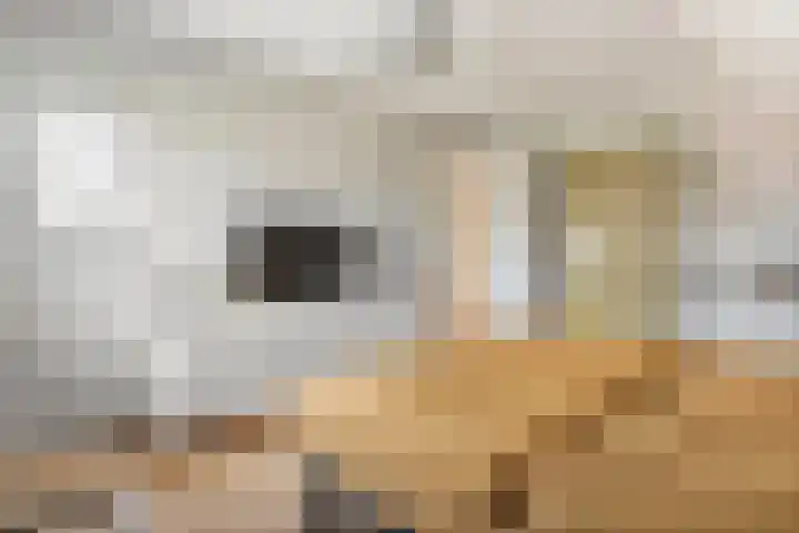 Echteldse Singel 40 Lienden thumbnail 45