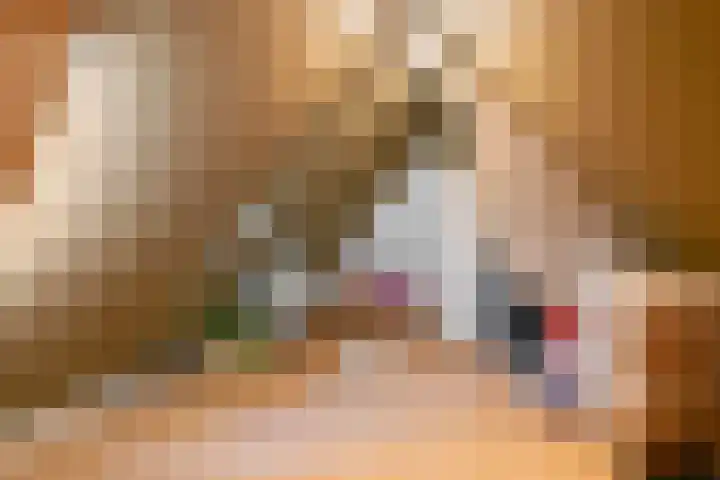 Echteldse Singel 40 Lienden thumbnail 46
