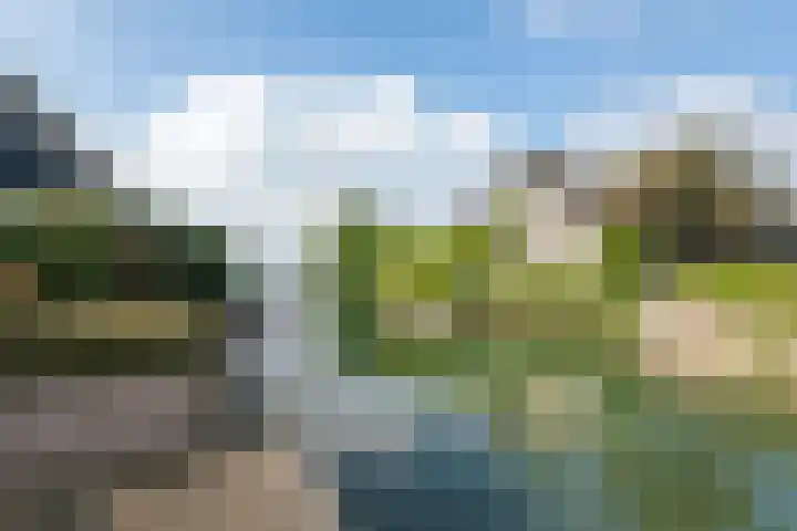 Echteldse Singel 40 Lienden thumbnail 5