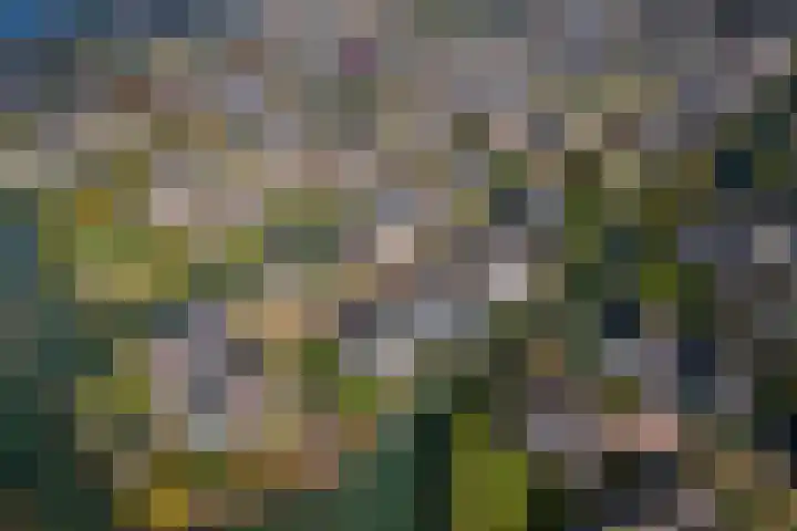 Echteldse Singel 40 Lienden thumbnail 50