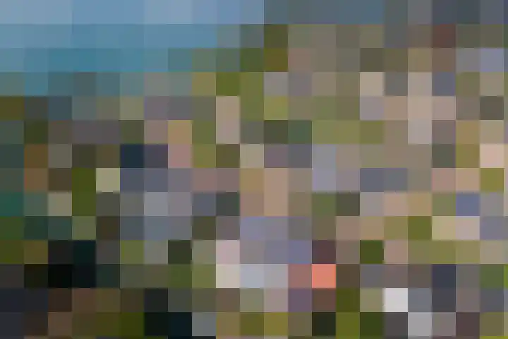 Echteldse Singel 40 Lienden thumbnail 51