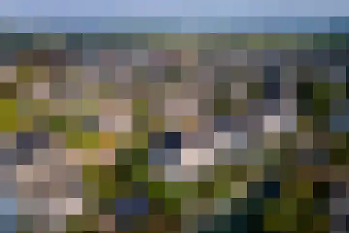 Echteldse Singel 40 Lienden thumbnail 53