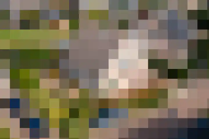 Echteldse Singel 40 Lienden thumbnail 54