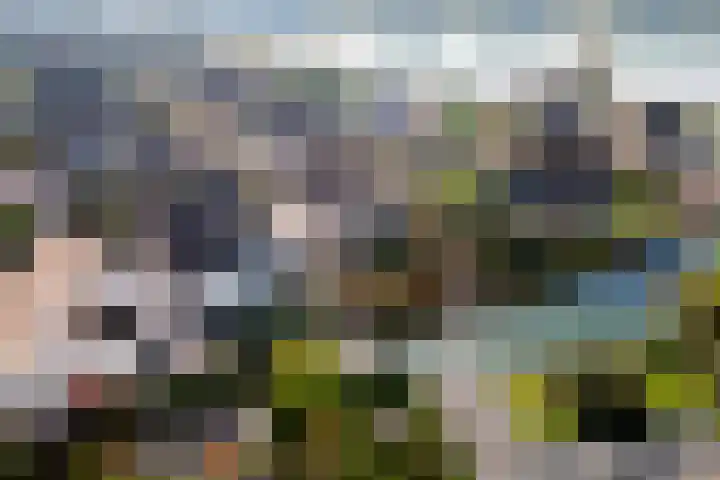 Echteldse Singel 40 Lienden thumbnail 55