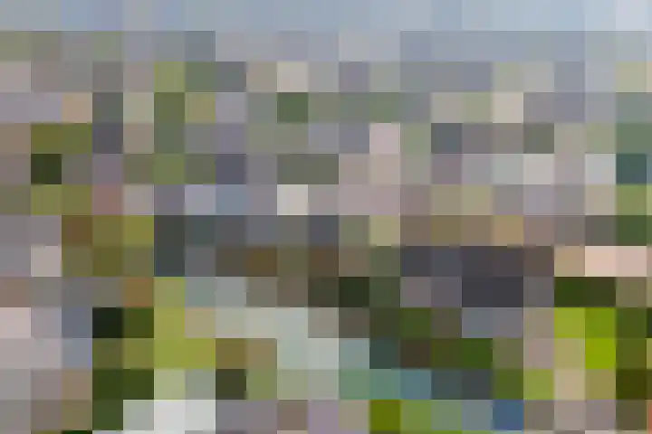 Echteldse Singel 40 Lienden thumbnail 56