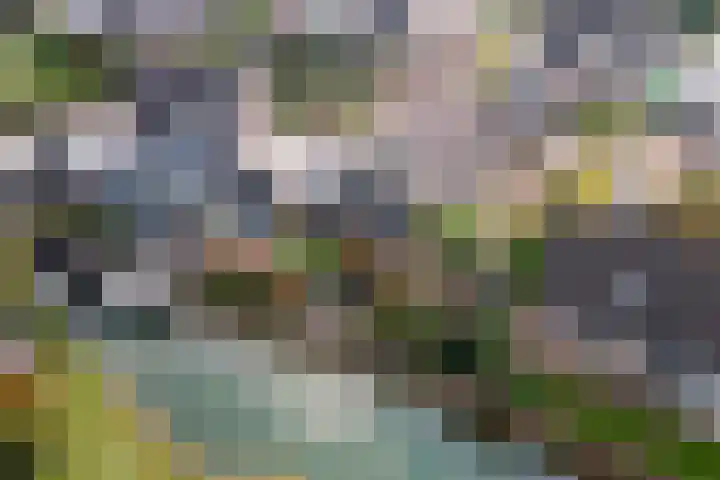 Echteldse Singel 40 Lienden thumbnail 57
