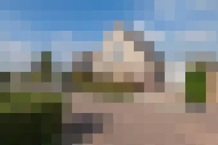 Echteldse Singel 40 Lienden thumbnail 58