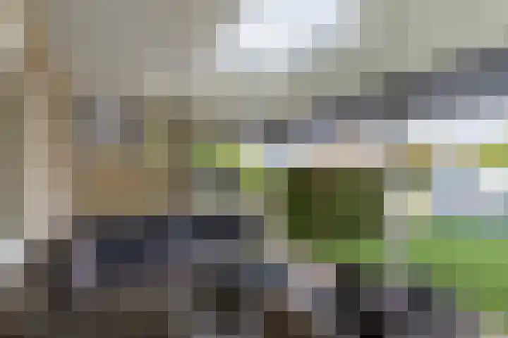 Echteldse Singel 40 Lienden thumbnail 6
