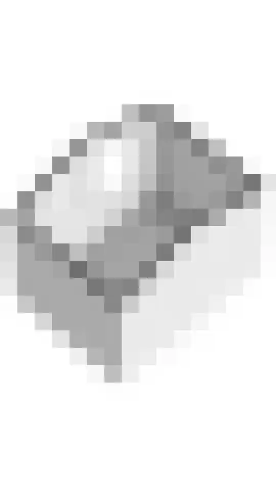 Echteldse Singel 40 Lienden thumbnail 67