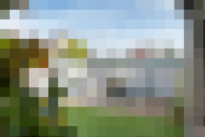 Echteldse Singel 40 Lienden thumbnail 7