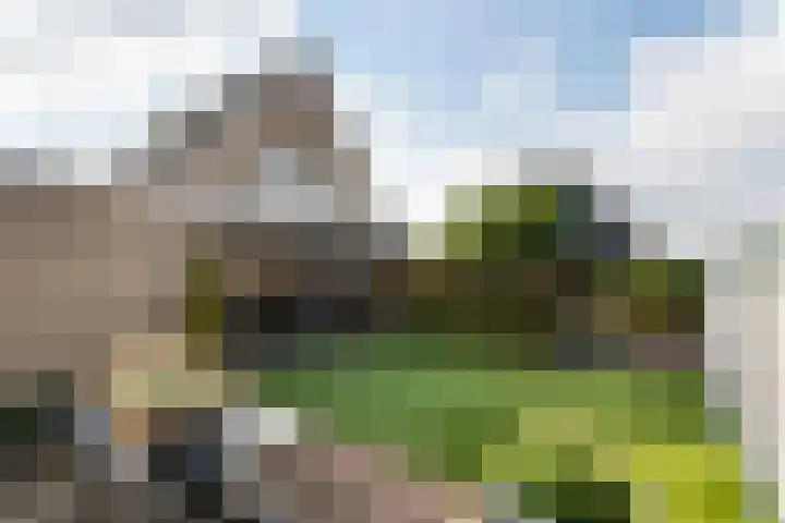 Echteldse Singel 40 Lienden thumbnail 8