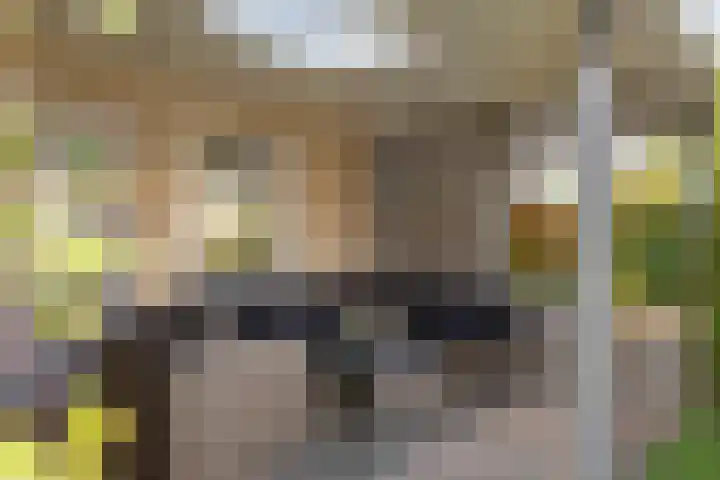 Echteldse Singel 40 Lienden thumbnail 9