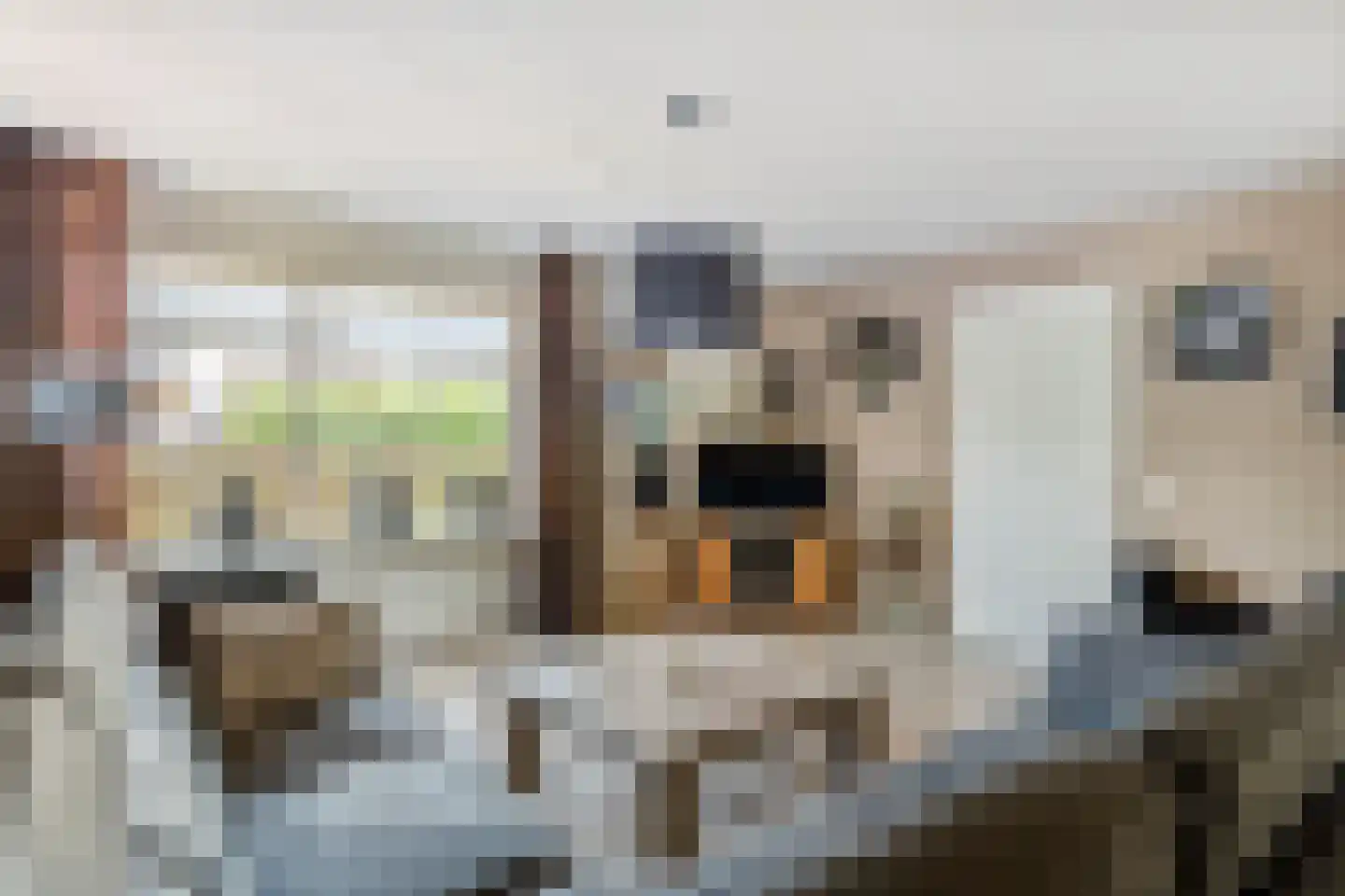 Echteldse Singel 5 Lienden thumbnail 11