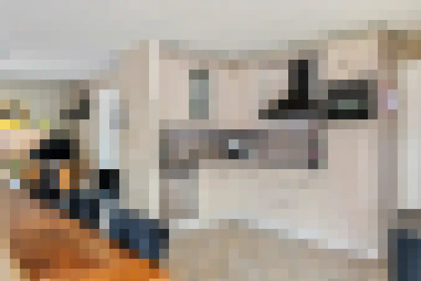 Echteldse Singel 5 Lienden thumbnail 14