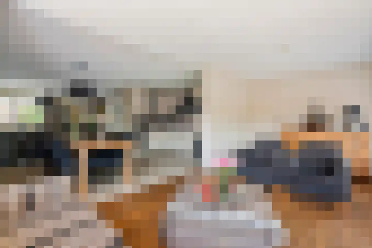 Echteldse Singel 5 Lienden thumbnail 15