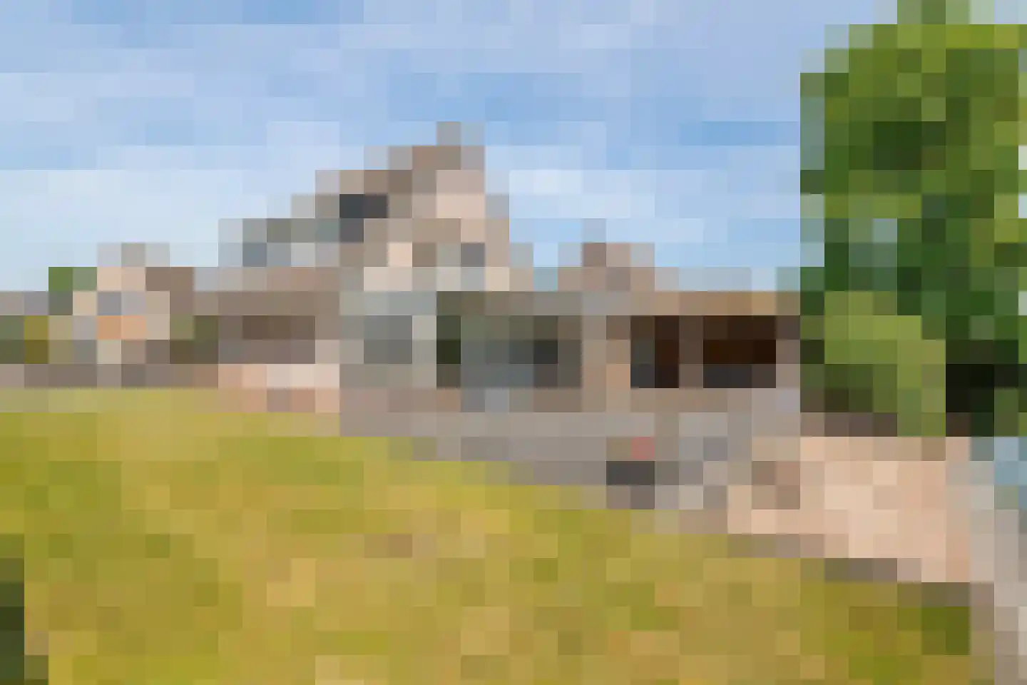 Echteldse Singel 5 Lienden thumbnail 35