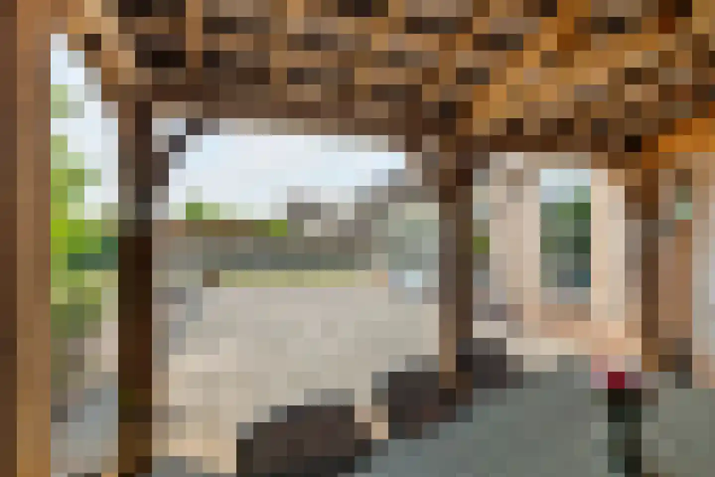 Echteldse Singel 5 Lienden thumbnail 36