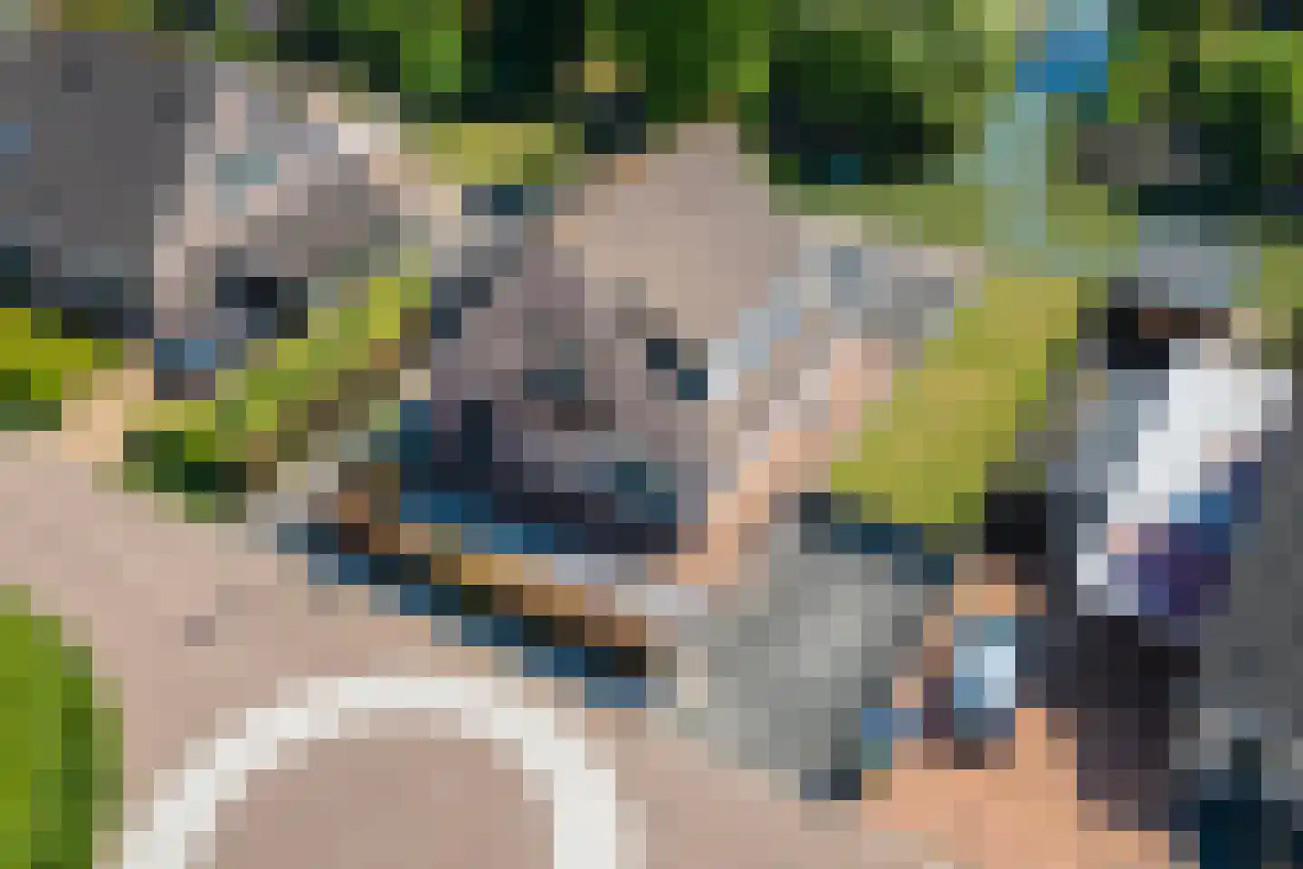 Echteldse Singel 5 Lienden thumbnail 42