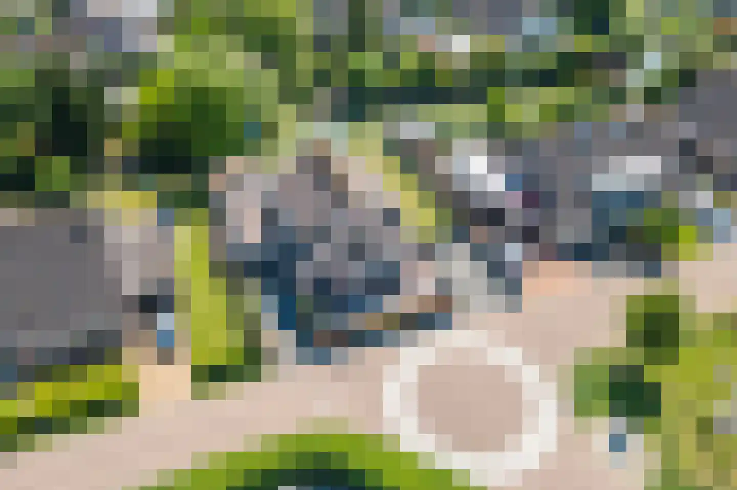 Echteldse Singel 5 Lienden thumbnail 43