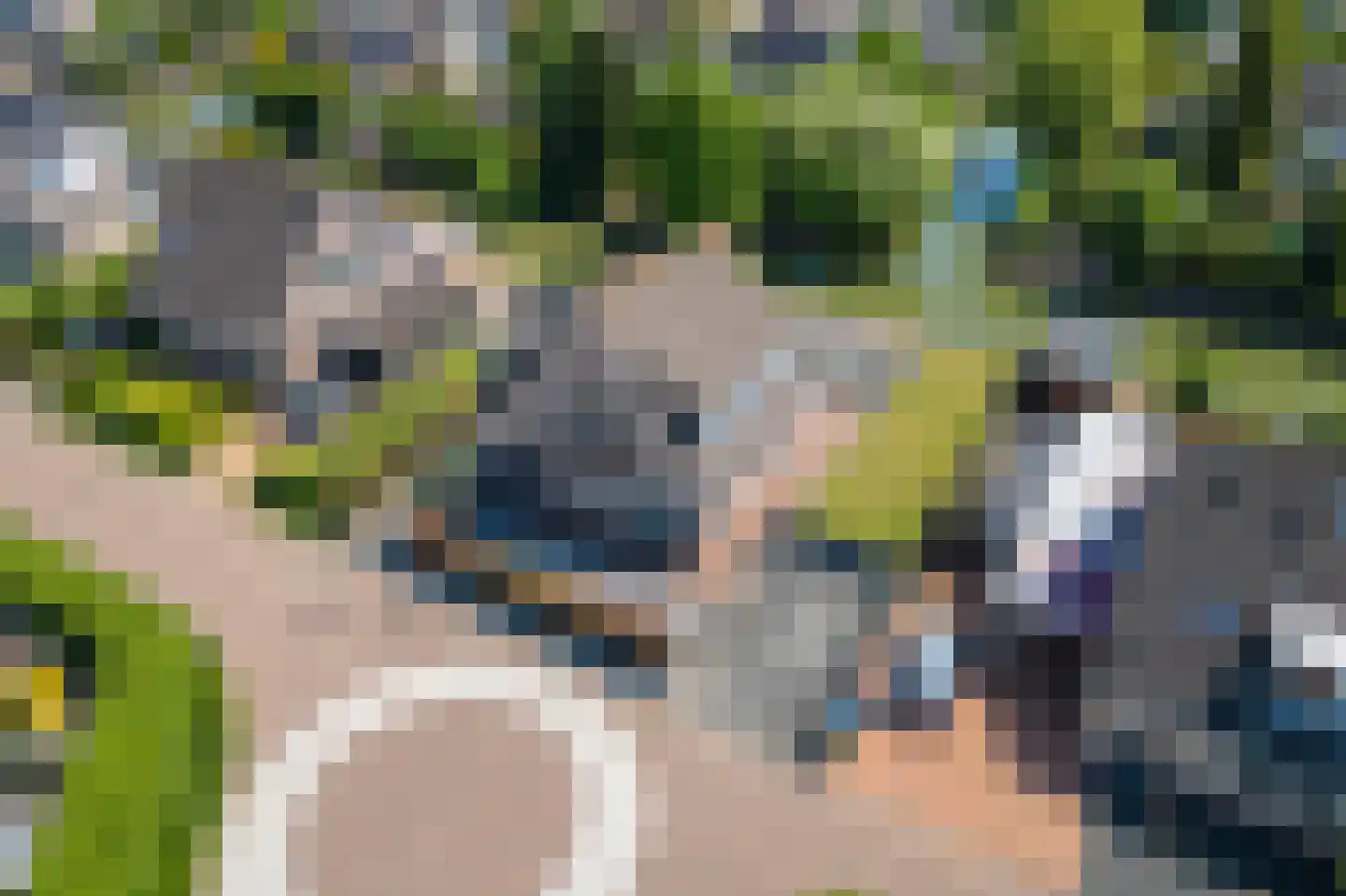 Echteldse Singel 5 Lienden thumbnail 45